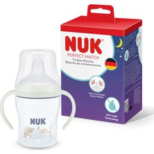 Str Store Pm Gece Eğitici Alıştırma BARDAĞI,150 Ml,koala