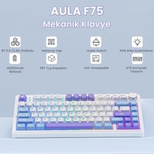 Str Store F75 Mekanik Rgb Tkl Star Vector Switch Kablosuz Makrolu Hot Swap Klavye Mor