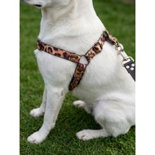 Balkonda Köpek Göğüs Tasması Ayarlanabilir Orta Irk Ön ve Arka Çekmeli Kolon Kordon Leopard