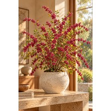Lotus Botanik Pembe Meyveli İnci Çalısı – Saksılı Canlı Dış Mekân Bitkisi, 45–65 cm