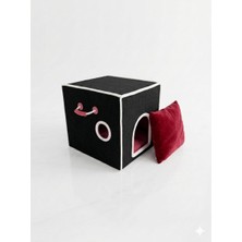Shiny Desing Kedi Evi
