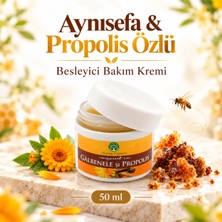 Herbal Therapy Aynısefa ve Propolis Özlü Besleyici ve Nemlendirici Bakım Kremi 50 ml