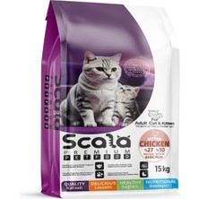 Scala Scala Basic Plus Tavuklu Yavru Kedi Maması 15 kg