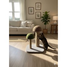 Shiny Design Kedi Tırmalama