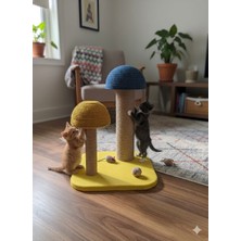 Shiny Desing Kedi Tırmalama