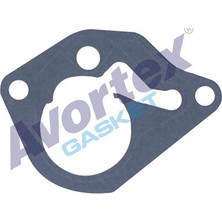 Avortex Vakum Pompa Contası Kangoo 1,5dcı K9K