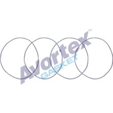Avortex Motor Gomlek Lastıgı Takım (4 Parca) R12 R9 1,4 R19 / Megane / Clıo