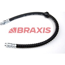 Braxis Braxıs On Fren Hortumu Scenıc Iı Grand Scenıc
