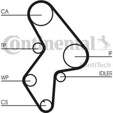 Contitech Contıtech Kayış TRIGER-(136-254)-(PEUGEOT Fıat Scudo 1.9d 1.9td / Partner / Expert / CON-CT1061