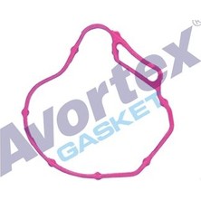 Avortex Vakum Conta Lastık 1,9 Dızel F8Q Kango Megane Trafıc