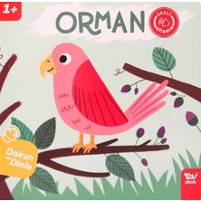 Türkiye Diyanet Vakfı Yayınları Dokun ve Dinle Sesli Kitabım Orman
