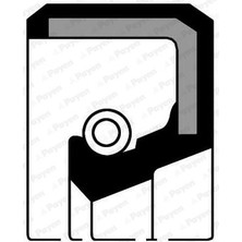 Payen Hella Pagıd 12011547B Krank Ön Kece 35×50×8 (Renault R12 1400) PAY-NF369