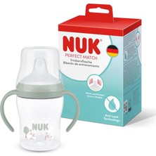 Str Store Pm Eğitici Alıştırma Bardağı, 150 Ml, Koyun