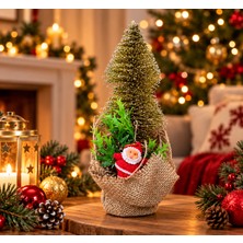 Dekoratif Mini Yılbaşı Çam Ağacı Noel Babalı – Jüt Saksılı Masaüstü Yılbaşı Süsü