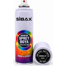 Str Store Mat Siyah Sprey Boya 250 ml