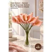 Yenilig 3 Adet Gala Somon – Somon Rengi Seçeneği, Somon Tonu ve Salmon Shade