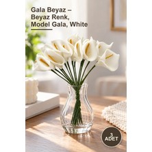 Yenilig 3 Adet Gala Beyaz – Beyaz Renk, Model Gala, White
