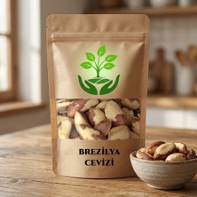 Tan Organik Mağazası Brezilya Cevizi 100GR