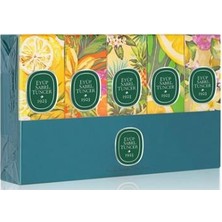 Eyüp Sabri Tuncer Set-5 16ML 5li Cam Şişe  Sprey Kolonya (Verbena-Ç.limonu-Hawaii-B.mandalina-Limon)