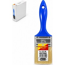 Str Store Kestirme Fırça 2,5 No