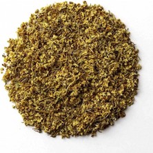 Medite Mürver Çiçeği Sambucus Nigra L 25 G