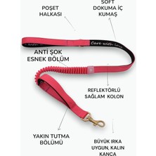 Vera Concept Store Köpek Gezdirme Tasması, Pembe, Anti Şok Esnek Bölümlü, Reflektörlü, 120-150 Cm, Orta ve Büyük Irka Uygun