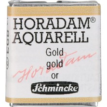 Vera Concept Store Horadam Aquarell Artist Sulu Boya 893 Gold 1/2 Tab