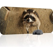 Vera Concept Store Rakun Oyuncu Gaming Mouse Pad Kauçuk Kaymaz Taban Mousepad (V1, 70X30 Xl)