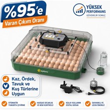 MY110 Yumurta Kapasiteli Tam Otomatik Kuluçka Makinesi Su Pompası ve Yedek Çevirme Motoru Hediyeli ( Lisinya )