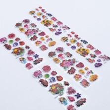 Vera Concept Store Bimotif 6 Adet Kabartmalı Yapışkan Sticker, Renkli Çiçekler