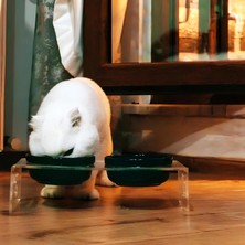 Vera Concept Store Mama Kabı, Pleksi Kedi Mama ve Su Kabı ile Paspası, Kedi Mama Su Kabı, Çift Hazneli ve Çift Hazneli Kedi Mama, Köpek Mama Kabı, (Siyah Seramik)
