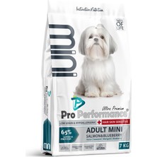 Vera Concept Store Ultra Premium Hipoalerjenik Somonlu ve Yaban Mersinli Uzun Tüylü Küçük Irk Yetişkin Köpek Maması 7 kg