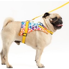 Vera Concept Store Kaçış Önleyici Ayarlanabilir Küçük Irk ve Büyük Irk Köpek Göğüs Tasma Seti ve Gezdirme Ipi (Sarı Kalpli, L)