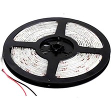 Vera Concept Store 12V 60 LED Dış Mekan IP65 Sarı Şerit Led, 5 Metre