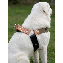 Vera Concept Store Köpek Göğüs Tasması Büyük & Dev Irk Ayarlamalı 5 cm Genişlik Emniyet Kemeri Palaska Kolon Kordon