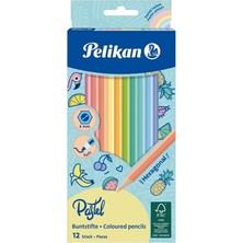 Vera Concept Store 12 Li Pastel Renk Kuru Boya Kalemi Karton Kutu 1 Paket 12 Renk Kuruboya Tam Boy Renkli Kalem