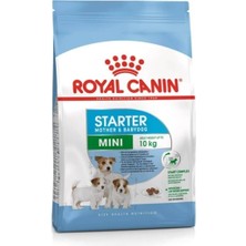 Vera Concept Store Mini Starter Küçük Irk Yavru Köpek Maması 3kg