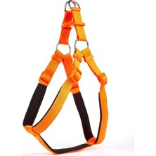 Vera Concept Store Konfor Ronin Model Dokuma Köpek Göğüs Tasması, Turuncu, 2.5X70-80 cm
