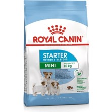Vera Concept Store Mini Starter Mother & Babydog 3 kg Yavru Kuru Köpek Maması