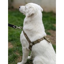 Vera Concept Store Köpek Göğüs Tasması Orta Irk Ayarlamalı Önden ve Sırttan Çekmeli Kolon Kordon Kamuflaj