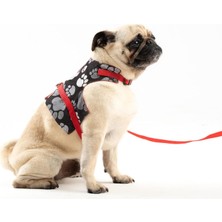 Vera Concept Store Kaçış Önleyici Ayarlanabilir Küçük Irk ve Büyük Irk Köpek Göğüs Tasma Seti ve Gezdirme Ipi (Kırmızı Patili, Xs)