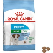 Vera Concept Store Shn Mini Puppy Ufak Irk Yavru Köpek Maması 4 kg