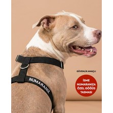 Vera Concept Store Güvenlik Amaçlı Numaralı Isimli Köpek Göğüs Tasması Kişiye Özel Göğüs Tasması I Küçük ve Orta Irk Köpekler I Renk Seçenekli (Siyah, L)