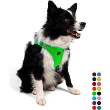 Vera Concept Store Air-Mesh Küçük ve Orta Irk Kedi Köpek Göğüs Tasması - Yumuşak, Nefes Alabilir, Dayanıklı (Neon-Yeşil, Xlarge)