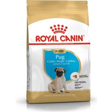 Vera Concept Store Pug Irkı Junior Yavru Köpek Maması 1,5 kg