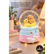 Yenilig 5 Adet Işıklı Müzikli Orta Boy Kar Küresi – Cam Fanus, Polyester Taban, Dekoratif Biblo, Snow Globe