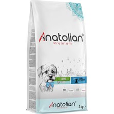 Vera Concept Store Mini Puppy Lamb Kuzulu Küçük Irk Yavru Köpek Maması 4 kg