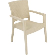 Vera Concept Store Mandella Zeus Rattan Koltuk (4 Adet) Çölbeji