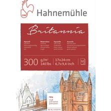 Vera Concept Store Hahnemühle 10 628 970 Britannia Suluboya Blok Kağıdı, 17X24, 300 Gsm
