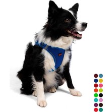 Vera Concept Store Air-Mesh Köpek Göğüs Tasması (Saks, Xlarge)